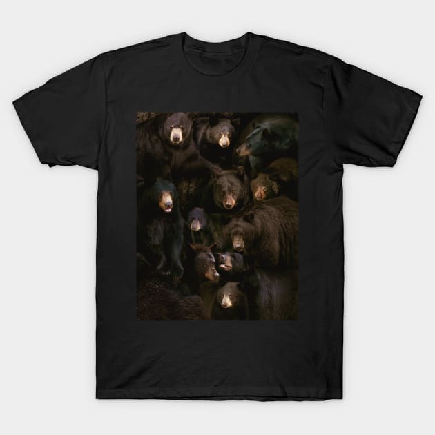 Black Bears T-Shirt by MaxencePierrard